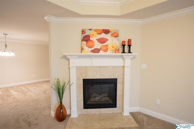 Gas Log Fireplace