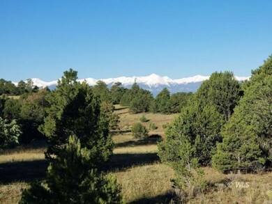 Expansive Views