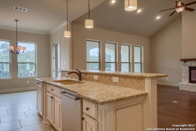24227 Azul Dawn, San Antonio, TX 78261 - photo 4