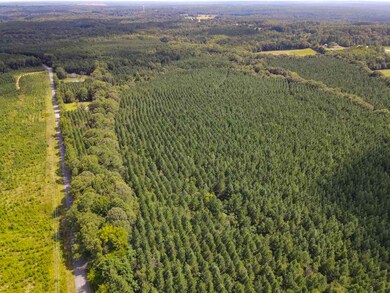 00 Starnes Rd, Enoree, SC 29335 - photo 6