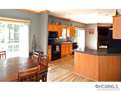 235 Martin Branch Rd, Leicester, NC 28748 - photo 5