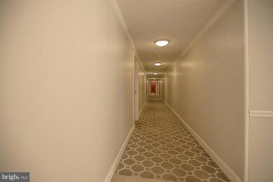 6145 Leesburg Pike unit 508, Falls Church, VA 22041 - photo 7