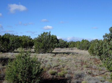 8575 Powells Ln, Show Low, AZ 85901 - photo 7