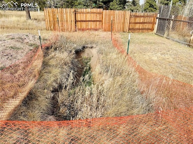 799 Elfin Glen Dr, Divide, CO 80814 - photo 3