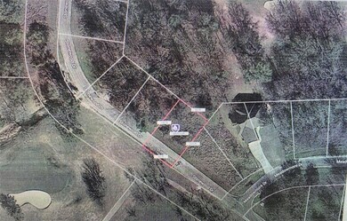 34001 Stonewood Dr, Whitney, TX 76692 - photo 7