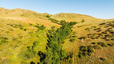 005_dji_20240705074805_0492_d_525