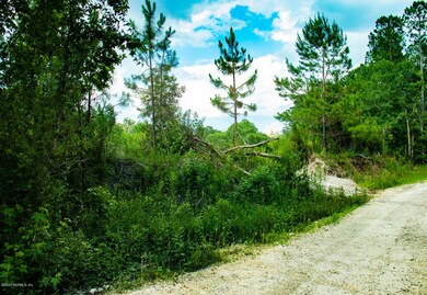 0 Spring Dr unit 1053118, Middleburg, FL 32068 - photo 2