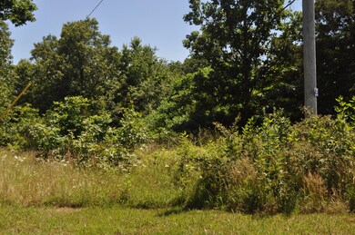 Tbd Farm Road 2085, Jenkins, MO 65605 - photo 2