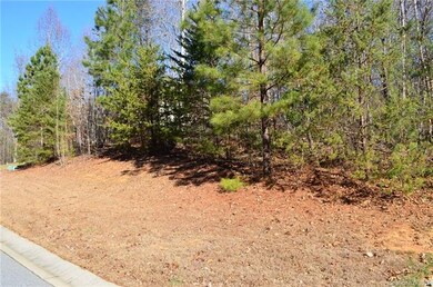 Lot 86 Cottonwood Dr unit 86, Denver, NC 28037 - photo 4