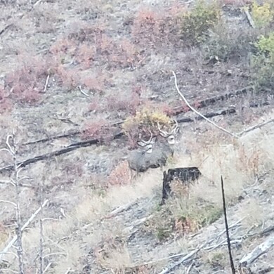 TBD Blind Draw, Conner, MT 59827 - photo 2