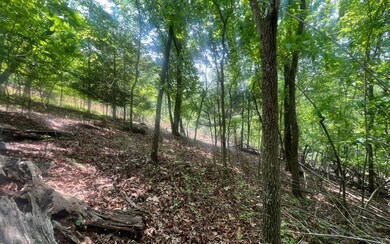 31 Grant Ln, Mineral Bluff, GA 30559 - photo 2