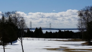 View to the South
