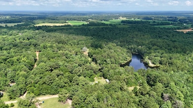 11375 Spring Lake Rd E, Chunchula, AL 36521 - photo 2