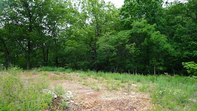Lots 4 5 6 & Acreage Loch Dr, Kimberling City, MO 65686 - photo 7