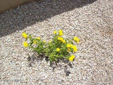 vestbackyardflowers