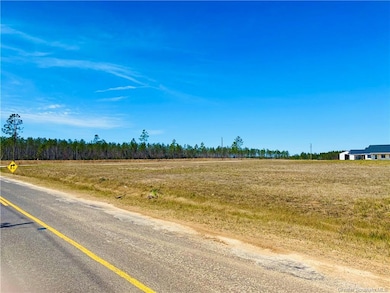 0 Camp Edgewood Rd unit SWL25001616, Dequincy, LA 70633 - photo 6