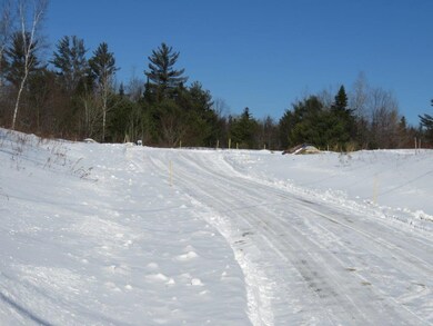 0 Nh Route 118 unit 4896849, Canaan, NH 03741 - photo 3