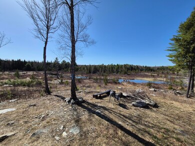 6 view off the front porch
