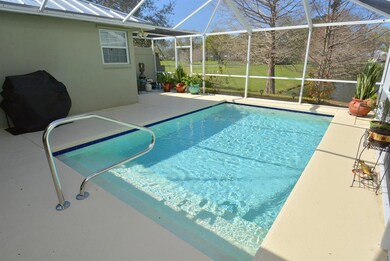Pool & Patio
