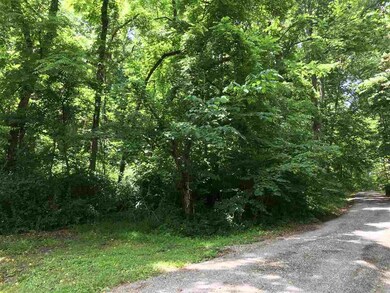 100 Iris Ln, Louisa, VA 23093 - photo 6