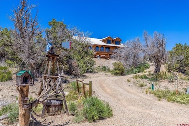 27431 Road P, Dolores, CO 81323 - photo 4