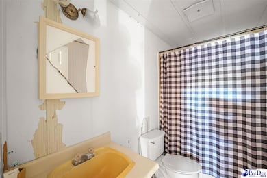 2139 Lamar Hwy, Darlington, SC 29532 - photo 7