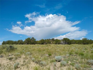 0 Carlson Rd unit REC5387533, Walsenburg, CO 81089 - photo 5