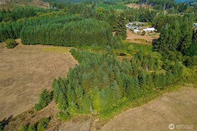 0 Xx Markley St, Raymond, WA 98577 - photo 7