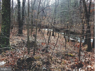 0 Circling Hawk Ln unit 1000168039, Berkeley Springs, WV 25411 - photo 4