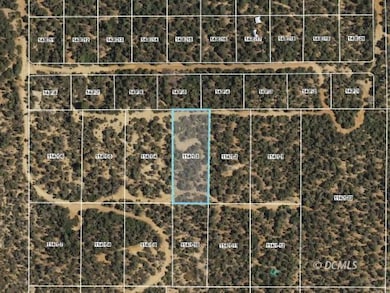 Google Earth Approx Outline