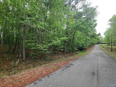 2.5 Aqua Vista Dr E, Tidmore Bend, AL 35901 - photo 2