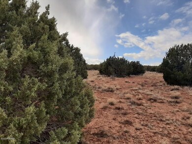 Land has trees and open areas