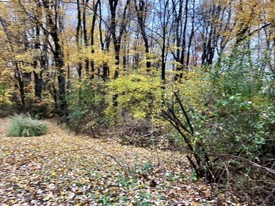 79 Mechanic St, Foxboro, MA 02035 - photo 6