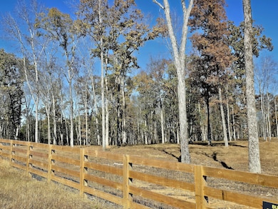 4821 Kedron Rd, Spring Hill, TN 37174 - photo 2