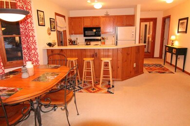 148 Deer Park Dr unit 98, Woodstock, NH 03262 - photo 7