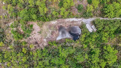 1301 Pearson Rd, Milton, FL 32583 - photo 4