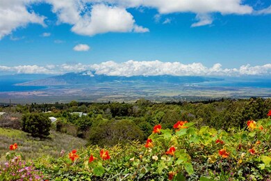17085 Haleakala Hwy, Kula, HI 96790 - photo 2