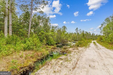 V/L 102 Old Reserve Rd, Waverly, GA 31565 - photo 5