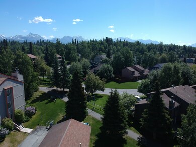 DJI_0222