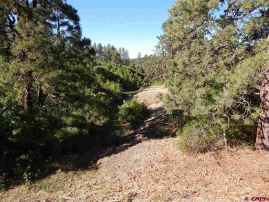 0 Tristan Trail unit 746328, Durango, CO 81301 - photo 6