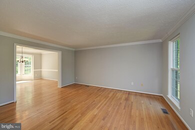 6245 Martin Rd, Columbia, MD 21044 - photo 4