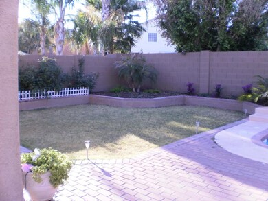 Grassy backyard - 010