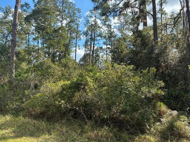 Lot 15, Block 75 Park Ave, Lake Wales, FL 33855 - photo 3