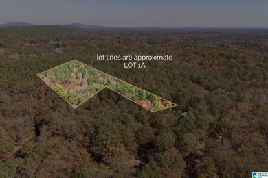 284 Nichols Rd, Chelsea, AL 35043 - photo 5