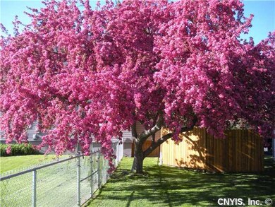 Yard/Garden