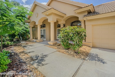 3550 Justin Dr, Palm Harbor, FL 34685 - photo 4