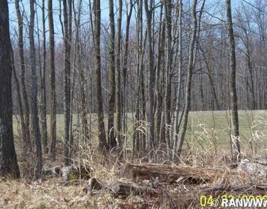 0 Cedar Swamp Rd unit 827193, Strickland, WI 54895 - photo 6