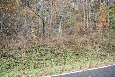 2000 Leatherman Gap Rd, Franklin, NC 28734 - photo 6