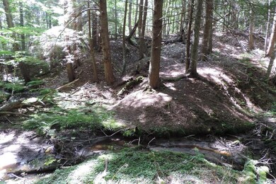 Natural ravine