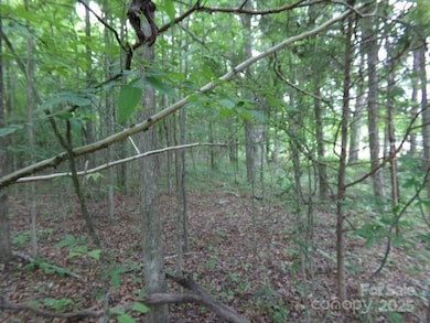 1.5 Ac Pinckney Rd, Chester, SC 29706 - photo 4